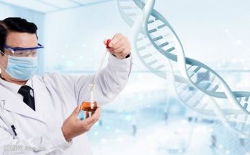 2024年科研工作总结优质8篇
