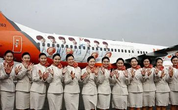 空乘的心得8篇