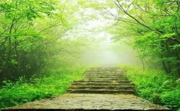 班主任的苦与乐读后感推荐8篇