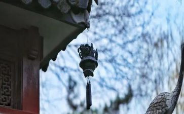 苦小弟读后感8篇
