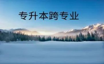 跨专业实习工作报告精选6篇