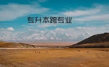 跨专业模板申请书通用6篇