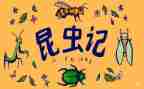 昆虫记《蝉》读后感7篇