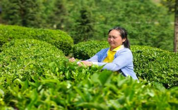 来陕重要讲话精神心得7篇