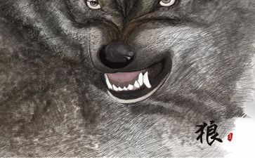 七年级《狼》读后感模板8篇