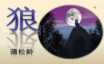 读后感《狼》作文7篇