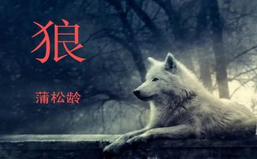 聊斋志异《狼》读后感7篇