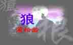 《狼》读后感600字最新7篇