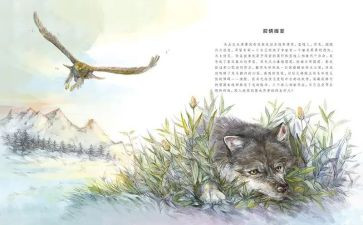 《狼王梦读后感推荐7篇