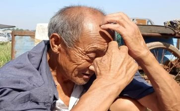 老人与狼作文400字8篇