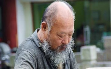老人与鹤读后感8篇