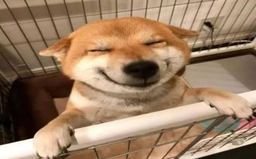 音乐教师的自我鉴定7篇