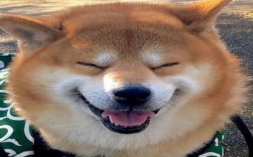 我的乐园作文的作文优秀7篇