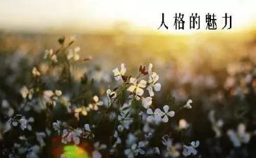 魅力教育读后感5篇