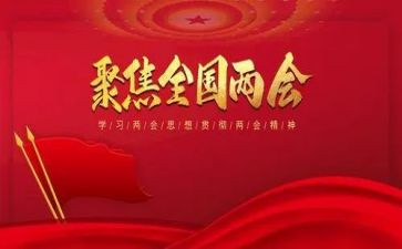 局两会精神心得体会6篇