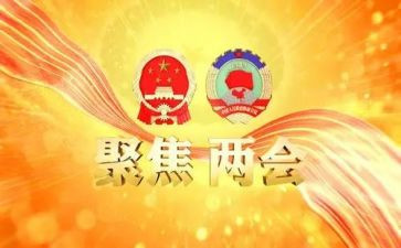 两会的心得体会7篇