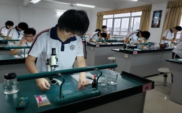 理化生教研组工作总结6篇