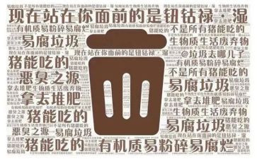 捡垃圾的社会活动心得体会6篇