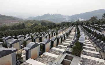 陵园扫墓心得最新5篇