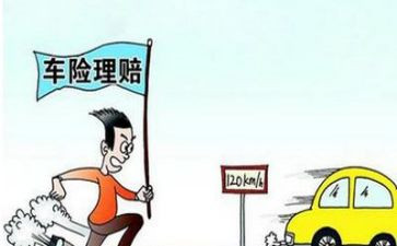 年终总结理赔员6篇