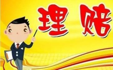保险理赔述职报告8篇