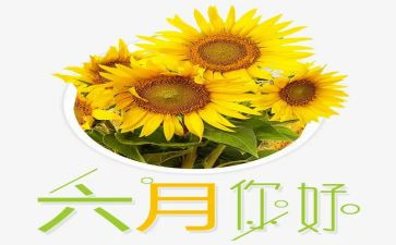 幼儿园小班六月工作计划5篇