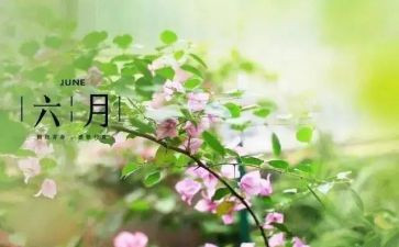 六月工作计划幼儿园大班8篇