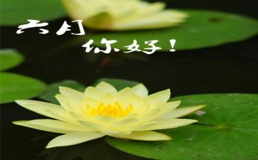 老小班六月份工作总结8篇