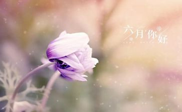 幼儿园中班六月工作总结8篇