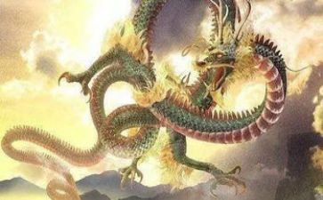 村上龙读后感5篇