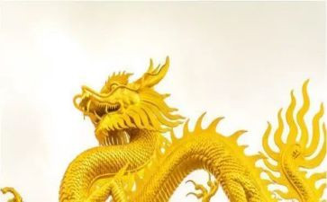 舞龙的作文5篇