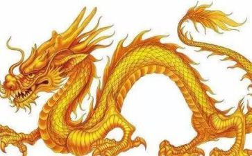 黄龙作文600字5篇