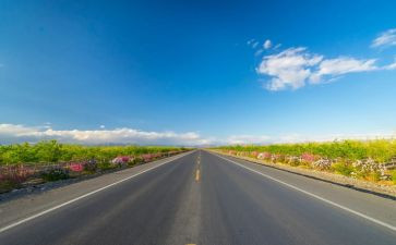 2024年道路运输管理工作总结7篇