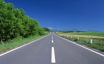 《路》的读后感300字推荐7篇