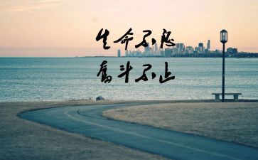 努力努力再努力的演讲稿模板8篇