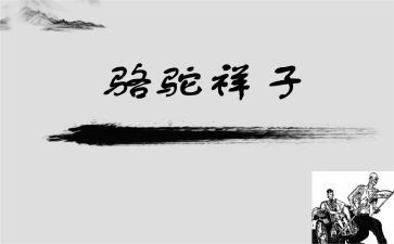 骆驼+读后感模板6篇