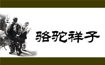 游骆驼湾作文最新7篇