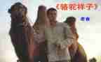 骆驼祥子读后感骆驼祥子读后感500字优秀7篇