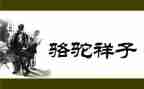 骆驼祥子读后感骆驼祥子读后感500字通用7篇
