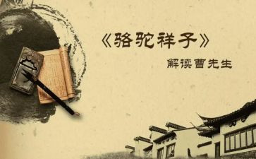 骆驼祥子阅读心得体会8篇