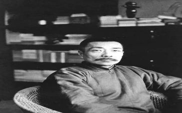 鲁迅论读后感5篇