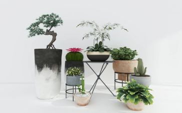 花卉绿植合同7篇