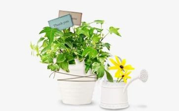 绿色低碳节能先行教案6篇