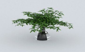 绿野仙踪读后感500字作文7篇