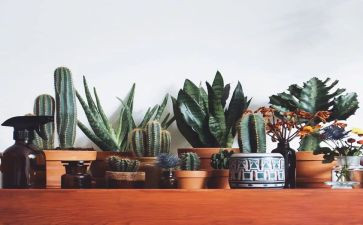 绿色的门读后感7篇