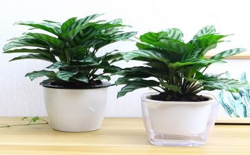 绿化工程工作总结7篇