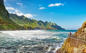 求旅行记读后感6篇