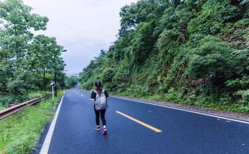 旅行主年终总结5篇