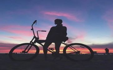 骑鹅鹅旅行记读后感500字7篇