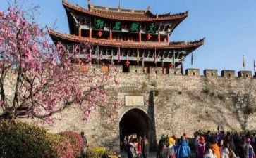 写旅游的心得体会最新5篇